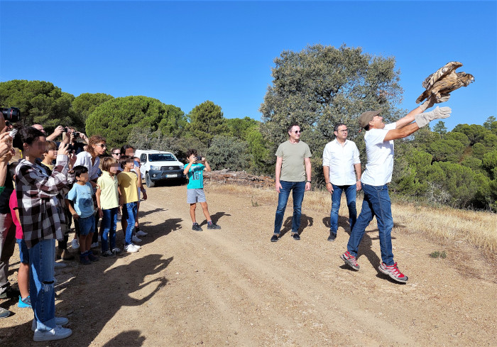 Momento de la liberación de un búho real en el CREA "Los Villares" (Córdoba) durante el Día Mundial de las Aves Migratorias.