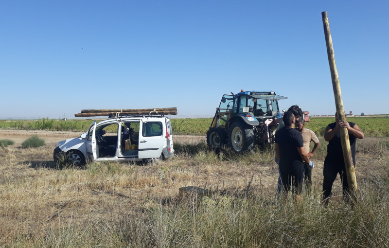 Momento de la instalación una de las cajas nido en Aldeaseca, Ávila.