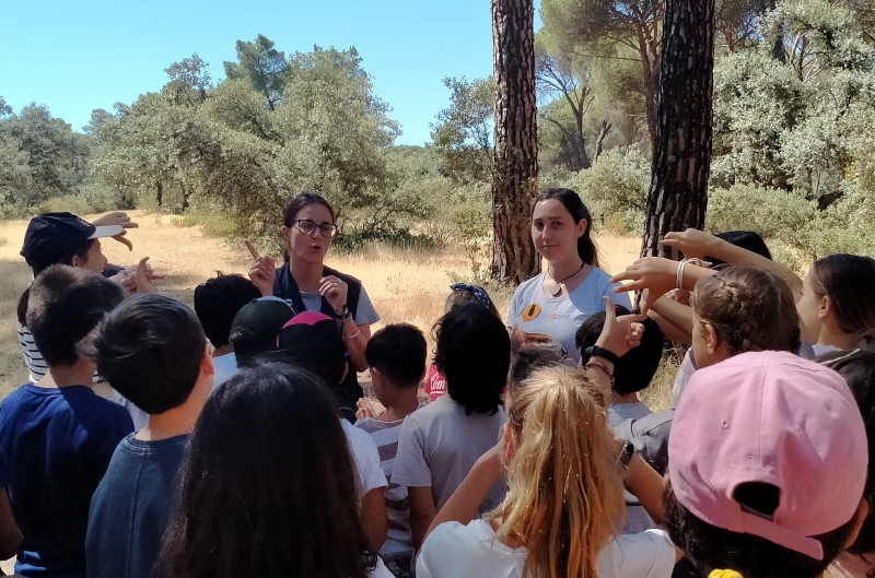 Durante los campamentos de GREFA los participantes conocen las especies de fauna silvestre que habitan en el Monte del Pilar.