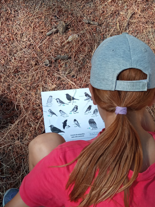 Jóvenes participantes en una edición anterior de las jornadas didácticas aprenden a diferenciar las aves que pueden observarse en el Monte del Pilar.