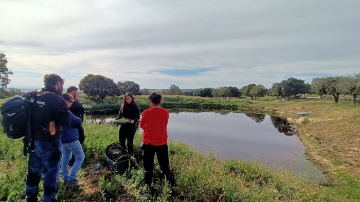 Los alumnos del curso han aprendido a identificar, entre otras, las especies autóctonas de anfibios.