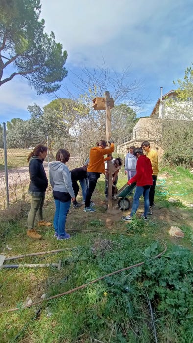 Instalación de una caja nido en las instalaciones de GREFA por parte de los alumnos del curso.