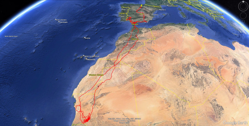 Viaje de ida y vuelta del buitre negro "Fuelle".