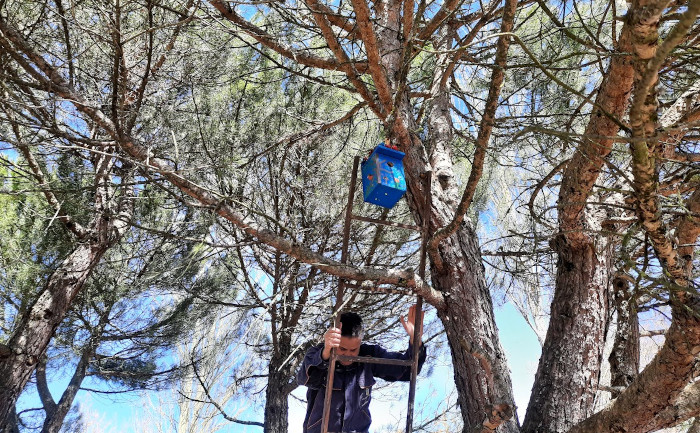 Momento de la instalación de una caja nido para pequeñas aves por parte de la Fundación Personas en Guardo (Palencia).