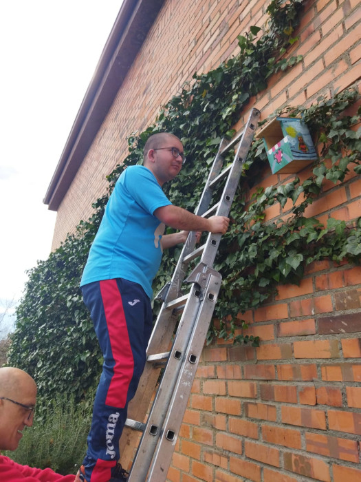 Colocación de otra caja nido en un edificio de Segovia.