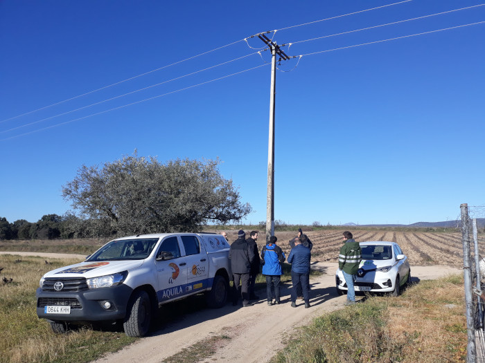 El equipo de GREFA, acompañado por personal técnico de Iberdrola, observa un apoyo eléctrico en Villa del Prado donde se ha sustituido la cruceta original por otra aislante (de tipo recto), para evitar electrocuciones de aves.