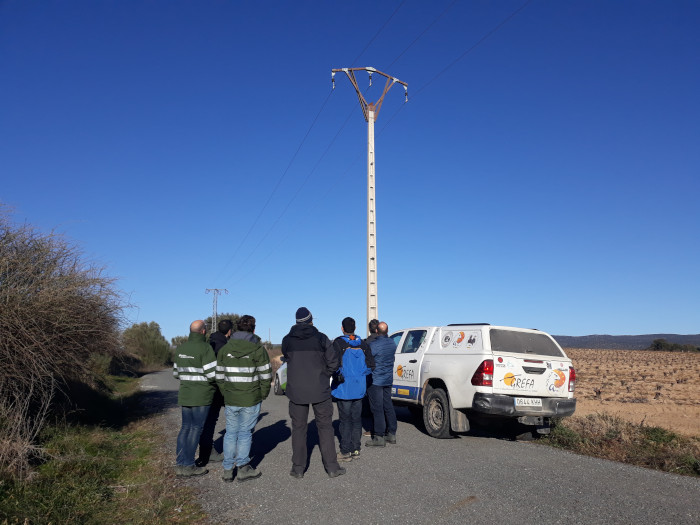 Miembros de GREFA e Iberdrola, junto a un apoyo con una cruceta aislante en bóveda ya instalada.