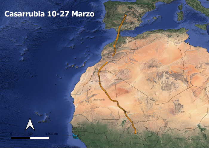 Migración pre-nupcial de la hembra de aguilucho cenizo "Casarrubia" en marzo de 2023.
