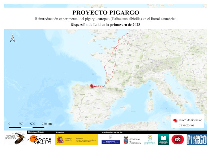 Mapa del viaje de pigargo europeo 'Loki'