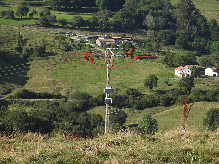 Uno de los cinco dispositivos antiposada colocados en apoyos eléctricos corregidos en la zona de reintroducción del pigargo europeo.