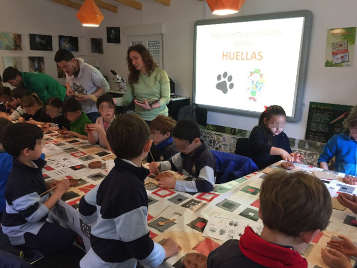 Taller infantil de identificación de huellas de fauna.