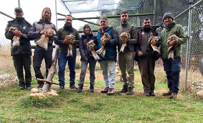 Equipo de GREFA y colaboradores con algunos de los milanos reales, durante su marcaje con GPS hace varias semanas.