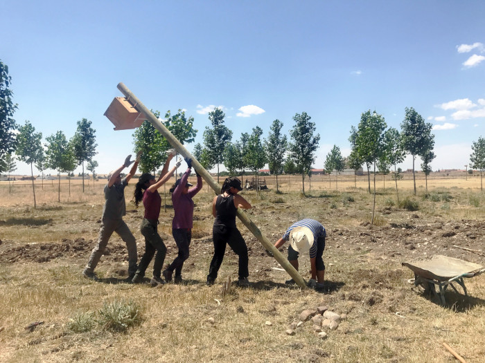 Voluntarios de GREFA colocan una caja nido para rapaces depredadoras de topillos.