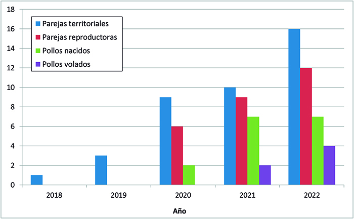 Resultados de las temporadas de cría desde el inicio del Proyecto Monachus en el Sistema Ibérico norte.