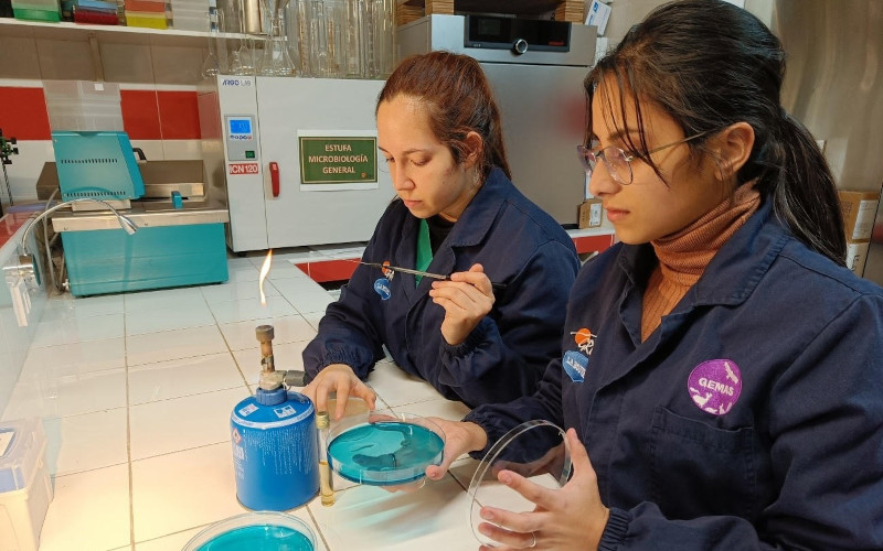 Dos voluntarias del laboratorio de GREFA analizan muestras de campo.