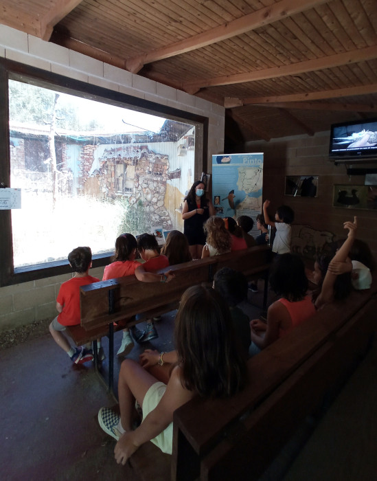 Un grupo de escolares visita el “Primilar“ de GREFA, que alberga una colonia reproductora de cernícalo primilla, acompañado por el personal especializado en educación ambiental de nuestra ONG.
