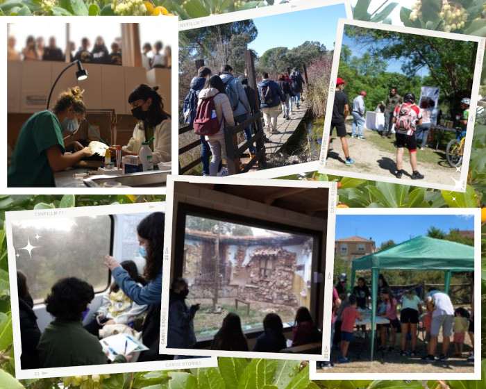Collage con imágenes que muestran algunas de las actividades que se realizan desde el Departamento de Educación Ambiental de GREFA.