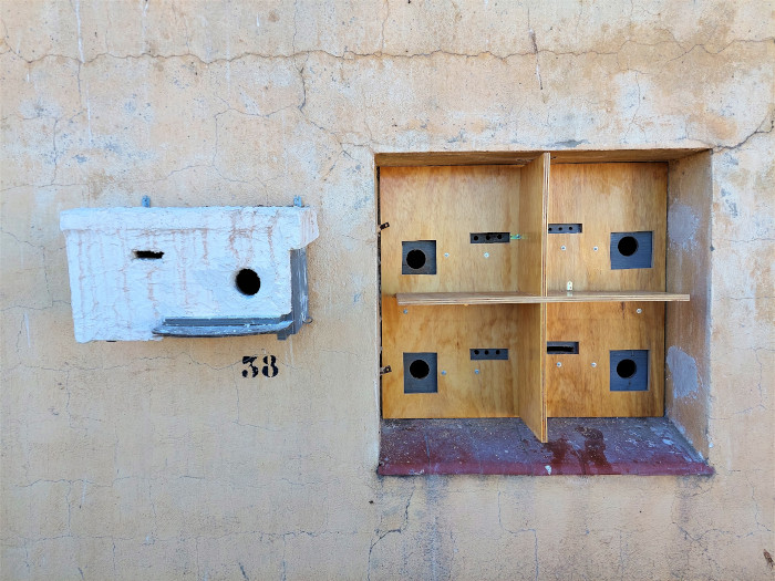 Caja nido de madera para cernícalo primilla recubierta de aislante térmico y mortero, junto a los nuevos nidos integrados en una de las ventanas del silo de Baena.