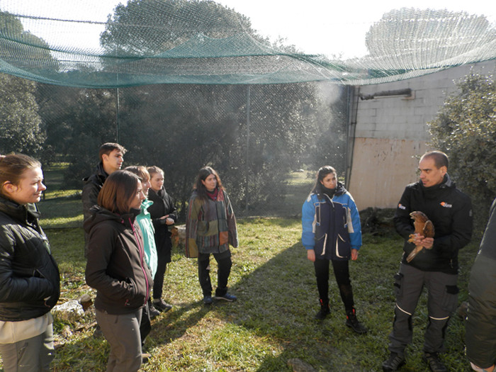 Clase práctica dedicada al manejo de la fauna salvaje, impartida por el Equipo de Rescate de GREFA.