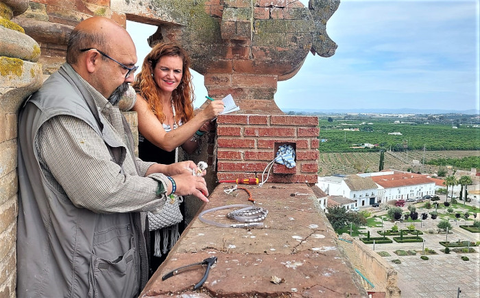 Momento del anillamiento de un pollo de cernícalo primilla en la colonia de la iglesia de La Asunción, en Palma del Río (Córdoba).