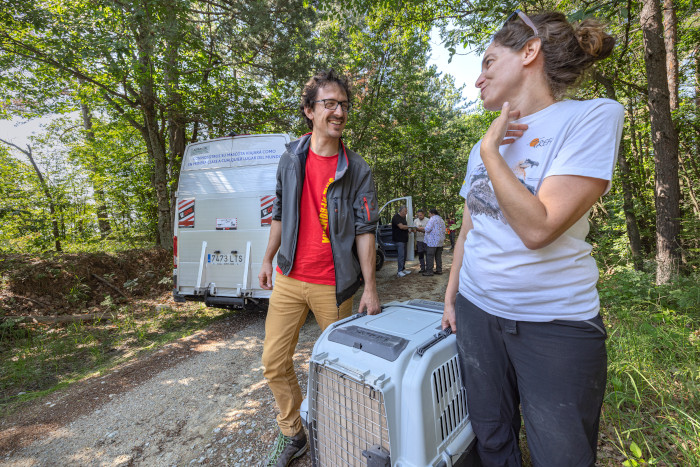 Dos trabajadores de GREFA (un técnico y una veterinaria), en la zona de reintroducción del buitre negro en los Montes Ródopes, con un trasportín en cuyo interior va uno de los buitre negros trasladados a Italia.  Foto: Ivo Danchev.