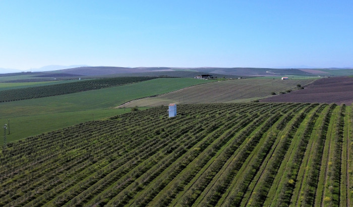 Panorámica del del entorno del primillar de Tejadilla. Foto: José María Ayala