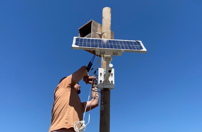 Instalación de la placa fotovoltaica que suministra energía la cámara instalada frente a la caja nido ocupada por una pareja de cernícalo vulgar.