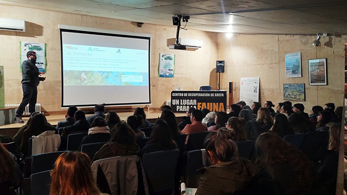 Juan José Iglesias, de GREFA, expone el proyecto de reforzamiento poblacional del milano real en Andalucía durante su participación en las II Jornadas de AVAFES Nacional.