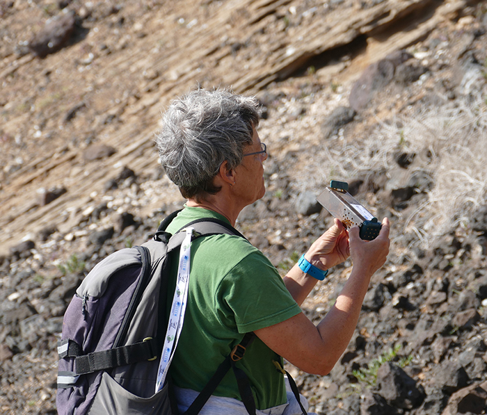 Claudia Schuster, bióloga de GREFA, observa una musaraña canaria dentro de una trampa en Montaña Clara.