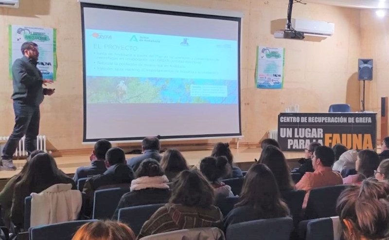 Juan José Iglesias, de GREFA, durante su participación en las II Jornadas de AVAFES Nacional.