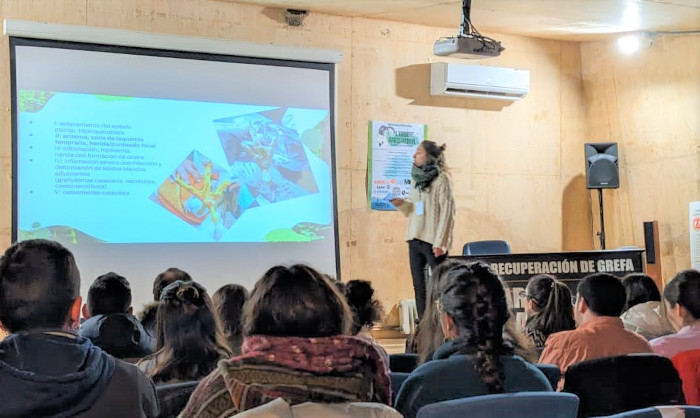 Alicia Carrero imparte su ponencia en las II Jornadas de AVAFES Nacional.