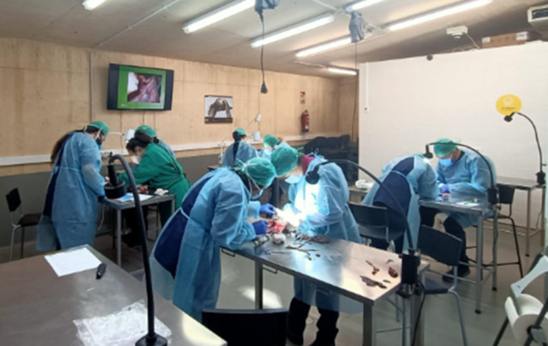 Alumnos del curso durante las prácticas de necropsias de animales silvestres en GREFA.