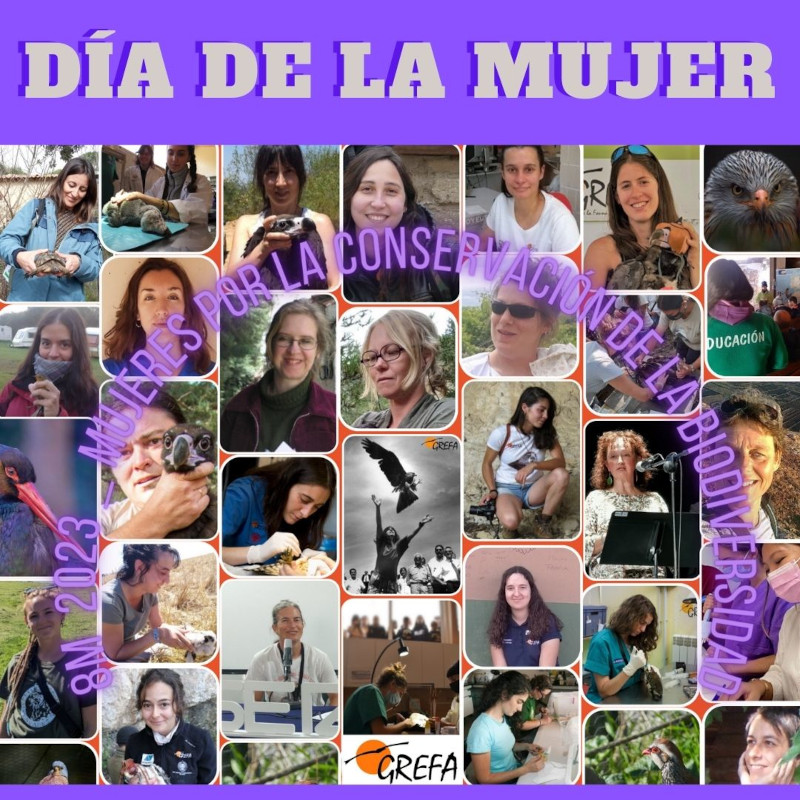 Collage conmemorativo del Día de la Mujer formado con las fotos de las trabajadoras de GREFA.