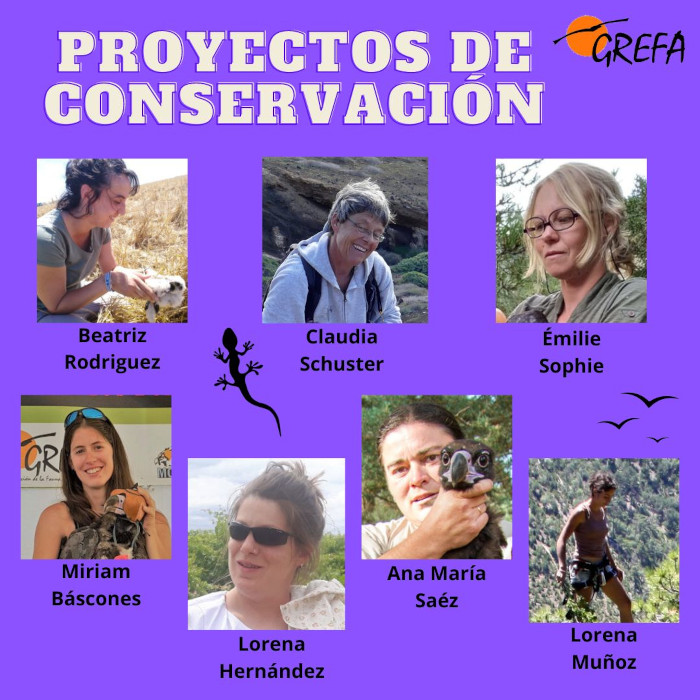 Proyectos de conservación