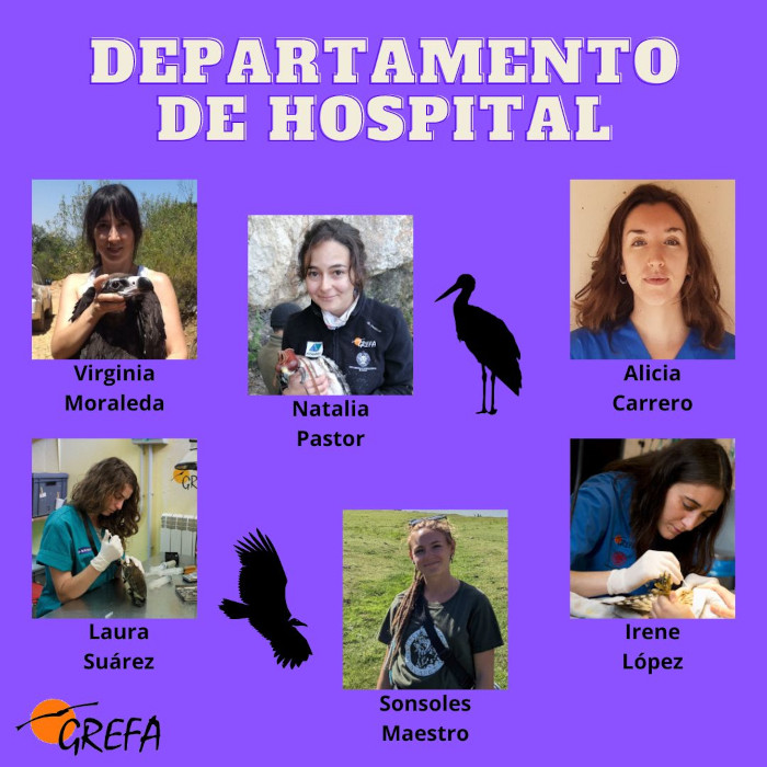 Hospital de Fauna