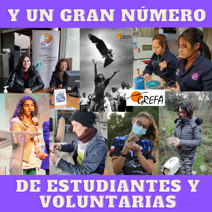 Voluntarias