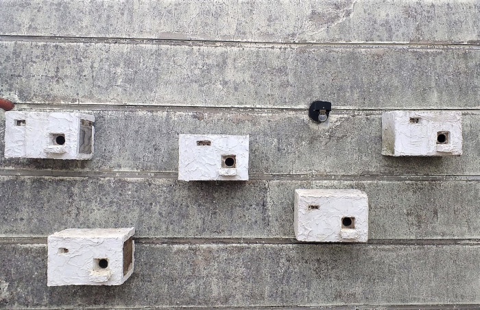 Cajas nido para cernícalo primilla reubicadas en la antigua Casa de la Cultura de Montilla (Córdoba). Foto: Miguel Salas.