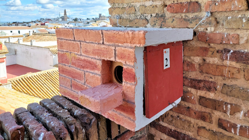 Caja nido de cernícalo primilla "tematizada" en la iglesia de San Blas (Carmona, Sevilla).