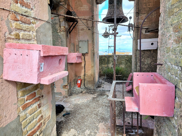 Cajas nido de cernícalo primilla en la torre de la iglesia de San Bartolomé (Carmona)