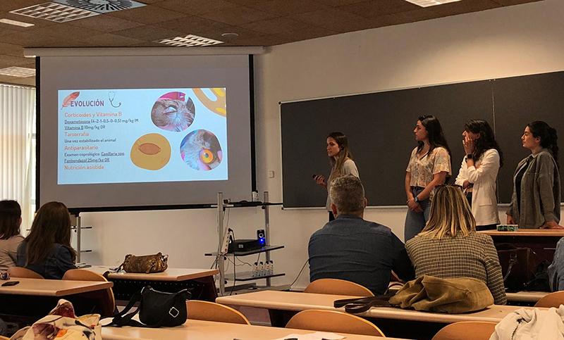 Ponencia presentada por Marina Alarcón, Elisa López, María Rodríguez e Irene Sanz sobre un búho real con lesiones oculares.