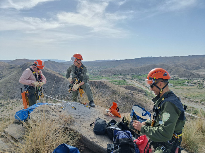 Un equipo de agentes de medio ambiente de la Unidad Vertical de Conservación Ambiental (UVCA) de Andalucía se dispone a acceder a un nido de águila de Bonelli.