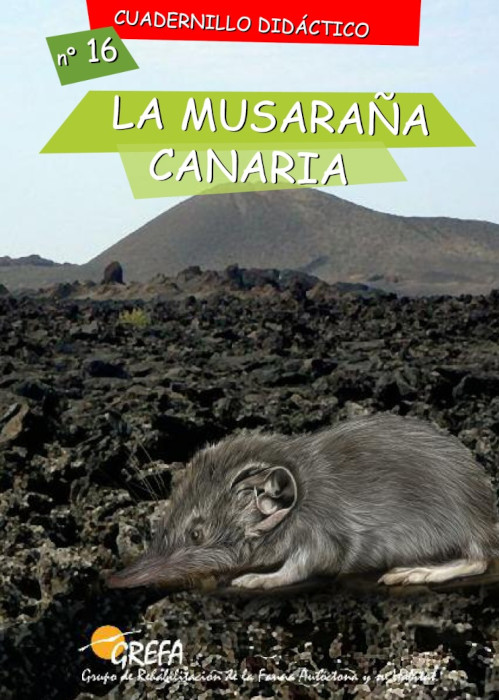 Portada del cuadernilllo didáctico de GREFA dedicado a la musaraña canaria.