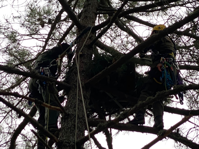 Dos componentes del equipo de trabajos en altura de Agentes Forestales de la Comunidad de Madrid durante la construcción de un nido artificial para águila de Bonelli.