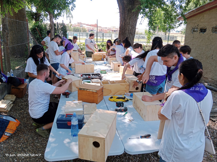 Las personas que asistan a la jornada de puertas abiertas podrán participar en un taller de construcción de cajas nido para mochuelos, murciélagos y abejas silvestres.