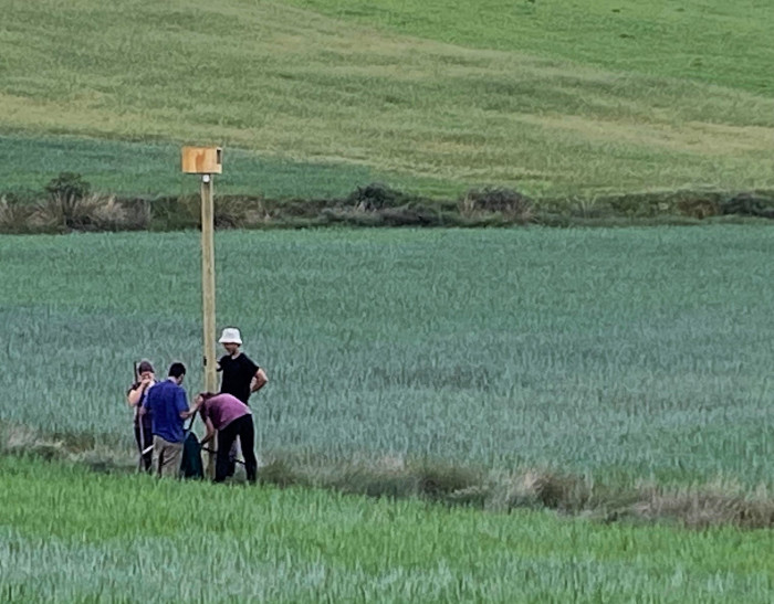 Momento de la colocación de una caja nido en Escobar de Campos (León).