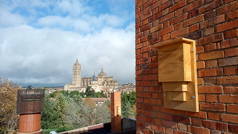 Cajas nido para aves insectívoras (al fondo) y murciélagos (derecha) instaladas en el edificio que ocupa Cruz Roja de Segovia.
