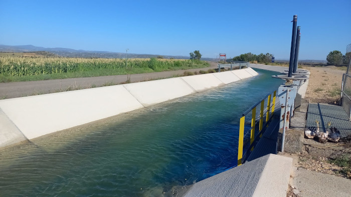 Canal de Selgua, en Castejón del Puente, donde murió "Barluenga". A la derecha de la fotografía se puede ver el cadáver de esta águila de Bonelli.