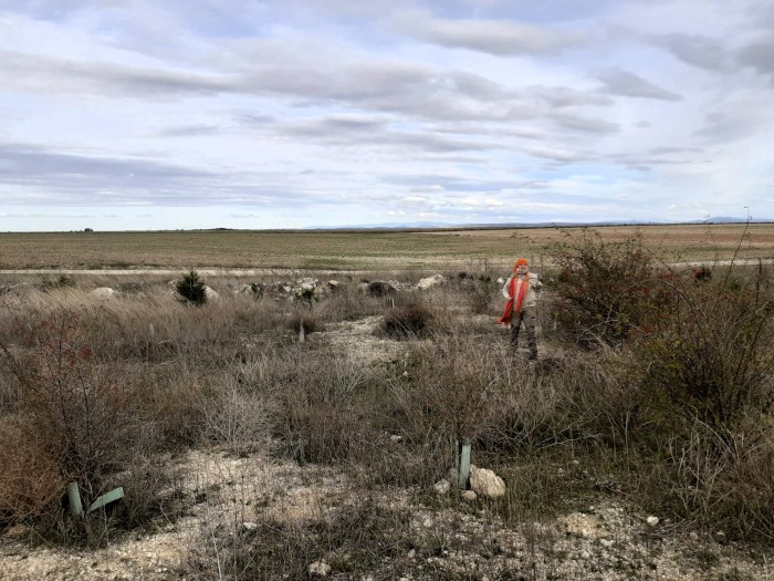 Estado actual de la escombrera clausurada de Villafruela (Burgos), reforestada entre los años 2017 y 2020 con la colaboración de ARBA Valladolid.