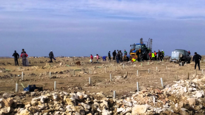  Trabajos de plantación realizados por GREFA, ARBA Valladolid y Ayuntamiento, Junta Agropecuaria Local y vecinos de Villafruela en una escombrera en 2017.