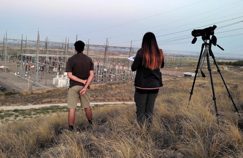 Voluntarios de GREFA durante el censo de los cernícalos primilla en una subestación de transporte de energía eléctrica.